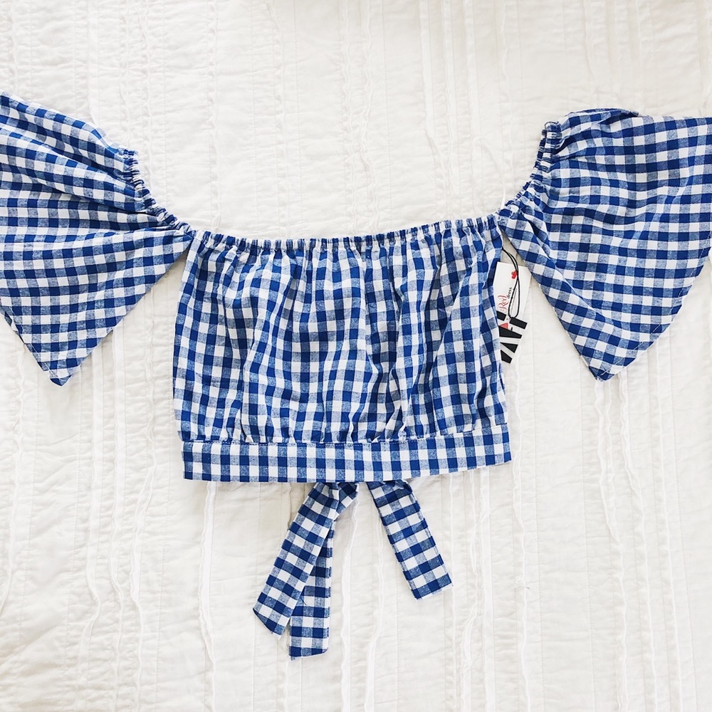 gingham blue blouse